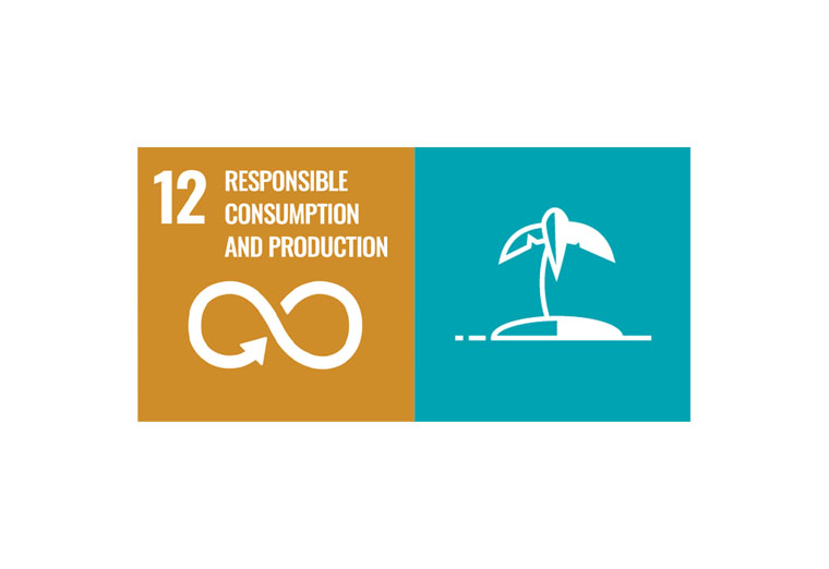 SDG goal 12 and BuyBay logo