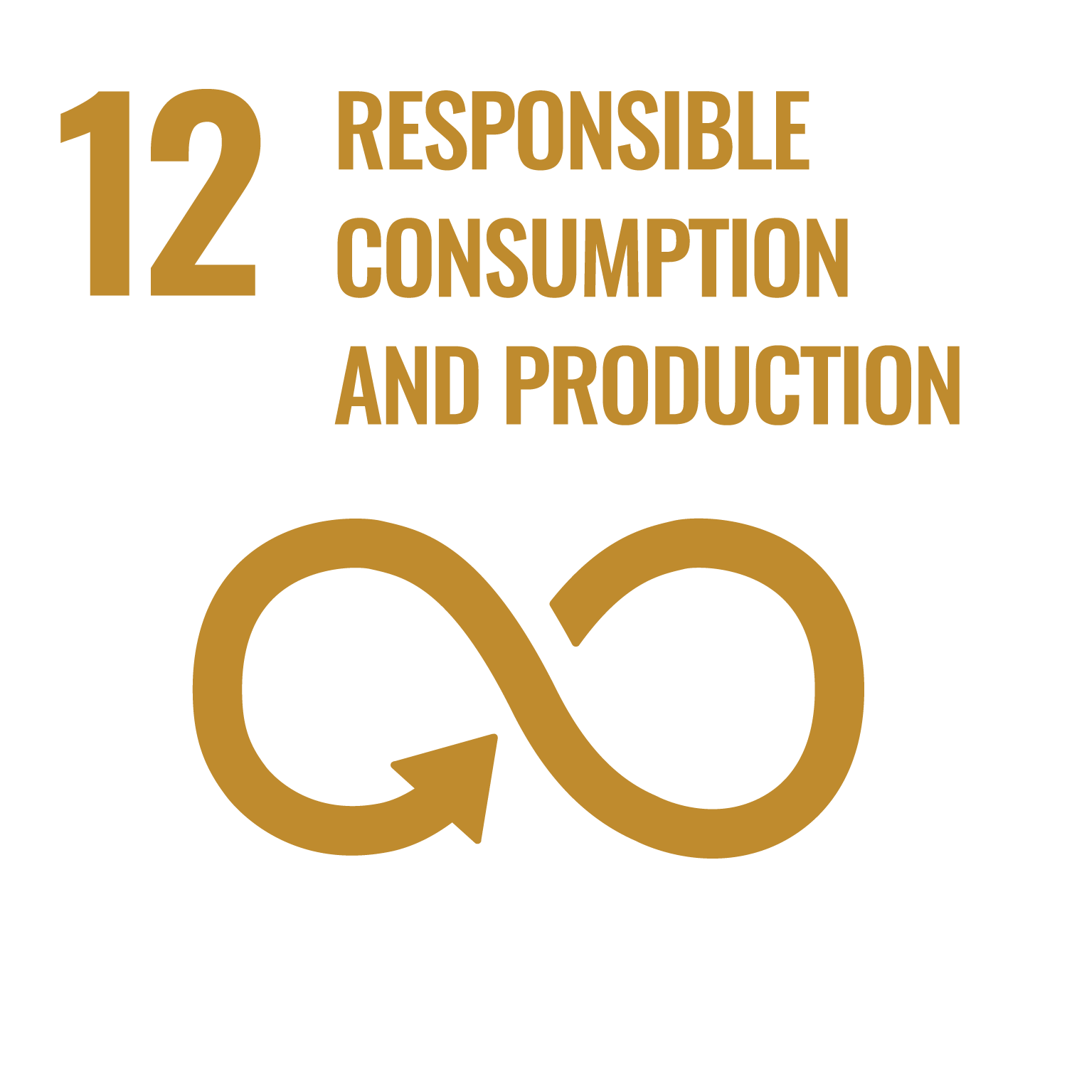 SDG goal 12: responsible consumption and production
